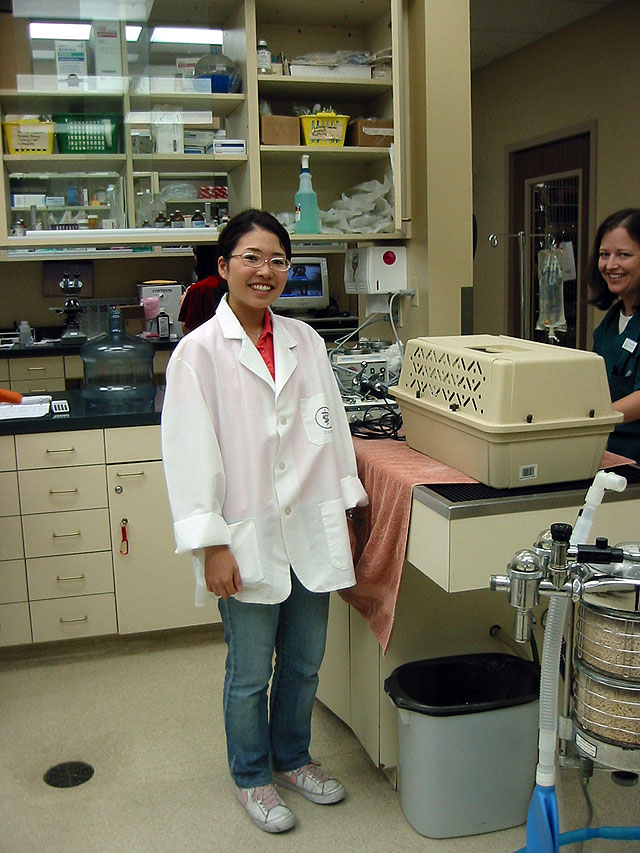 Japanese vet student visits Lawrence office News, Sports, Jobs